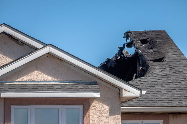 Top rated local Fire Damage Cleanup specialists in Hillsborough, NJ